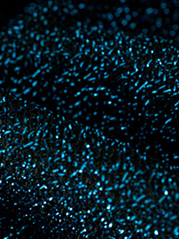 shiny Elegant and elegant round neck wrap elastic hip dress